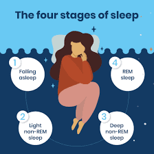 The 4 Stages or REM Sleep